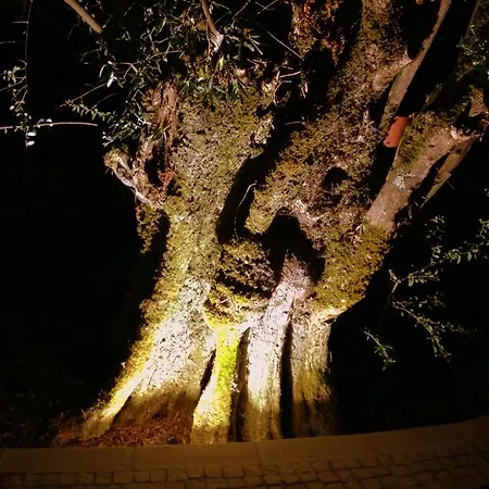 Otium Alvorge