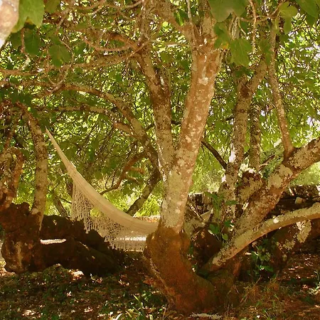 Otium