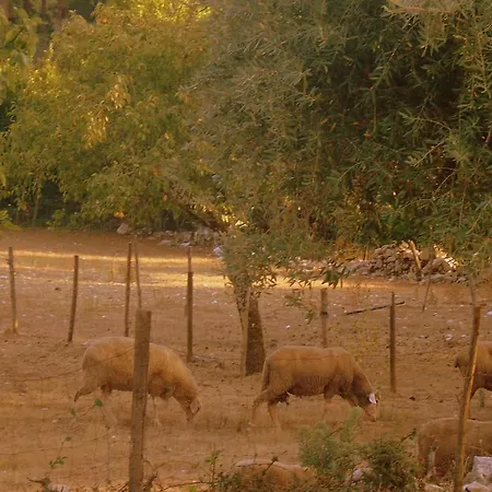 Casa rural Otium *