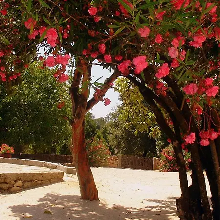 Gospodarstwo wiejskie Otium *