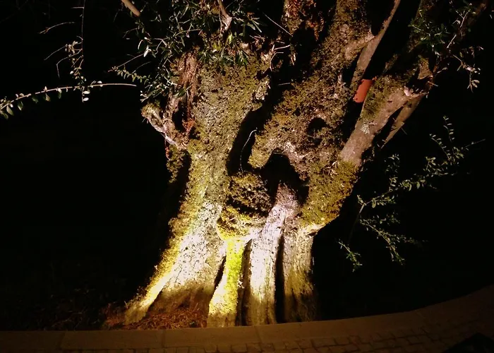 Otium Alvorge