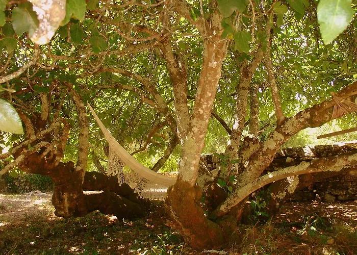 Otium