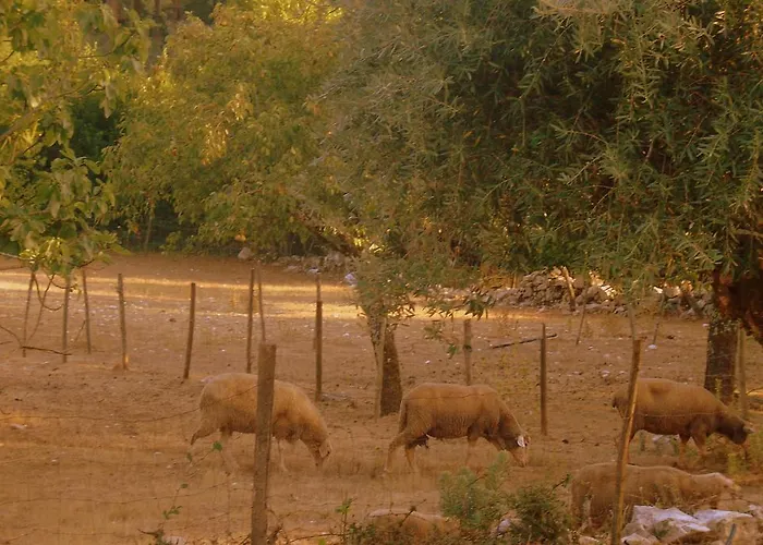 Летний дом Otium *