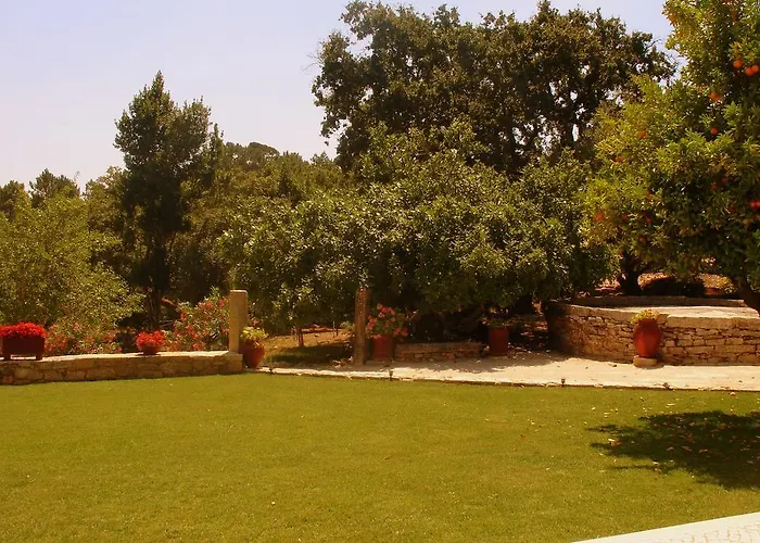 Летний дом Otium *