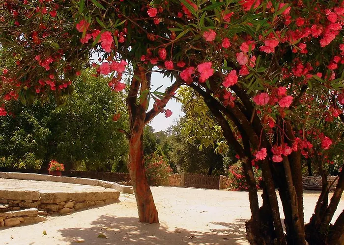 Летний дом Otium *