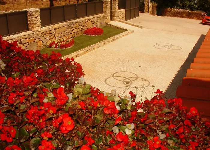 Летний дом Otium