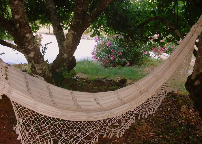 Летний дом Otium